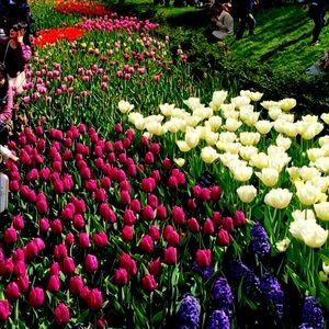 Meet your Posher, Jo-ann